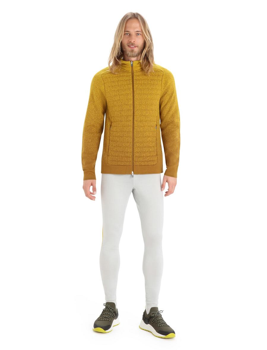 Men's Icebreaker ZoneKnit™ Merino Insulated Long Sleeve Zip Into the Deep Hoodie Clove / Silent Gold | CA 1688KORI